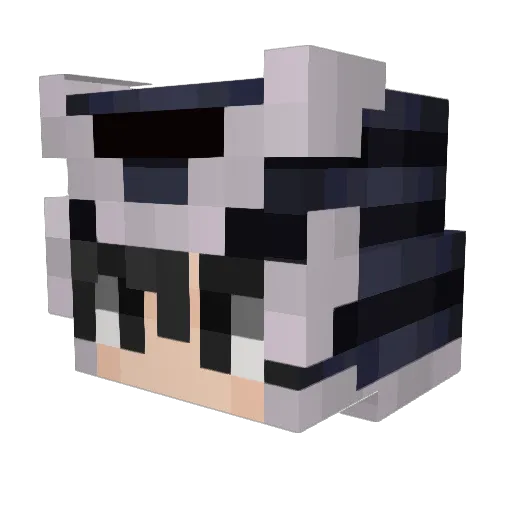 Landerson8 Minecraft avatar head, 3D render