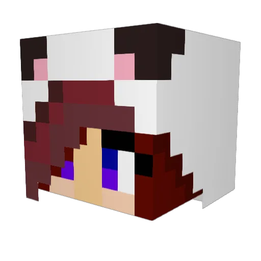 Landerstephi Minecraft avatar head, 3D render