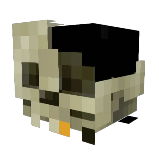 LandfillDirector Minecraft avatar head, 3D render