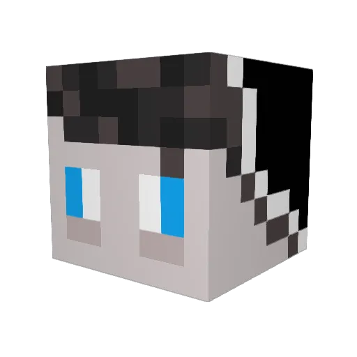Landi0n Minecraft avatar head, 3D render