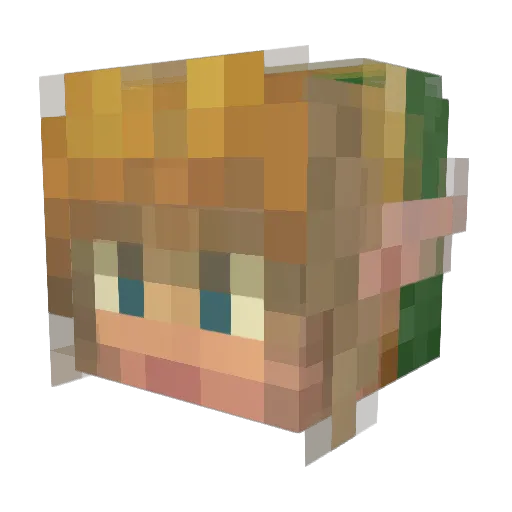 Landintheskys Minecraft avatar head, 3D render