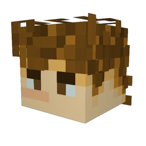 Landjams Minecraft avatar head, 3D render