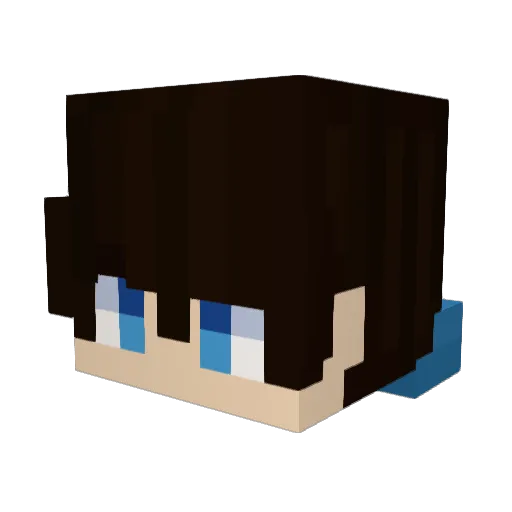Landon9260 Minecraft avatar head, 3D render