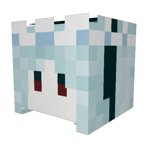 LandonTheGoober Minecraft avatar head, 3D render