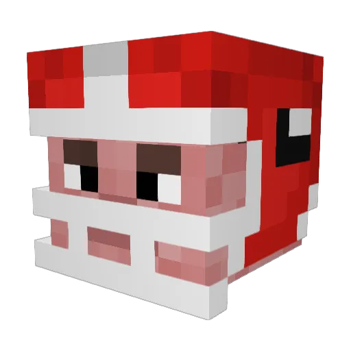 Landonh11 Minecraft avatar head, 3D render