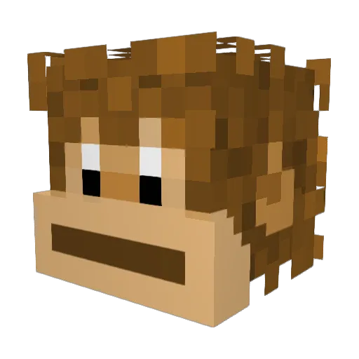 Landonis_1243 Minecraft avatar head, 3D render