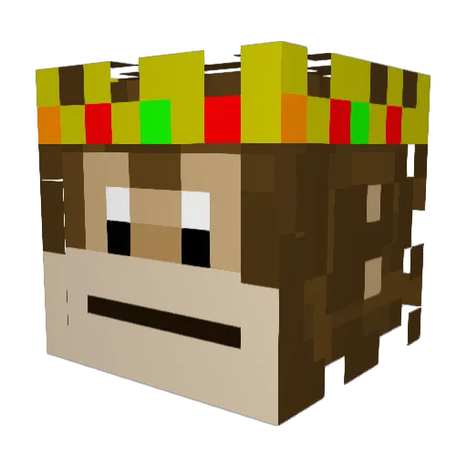 Landonninja4 Minecraft avatar head, 3D render