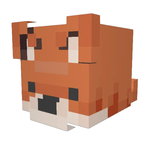 Landoonym Minecraft avatar head, 3D render