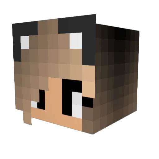 Landoxp Minecraft avatar head, 3D render