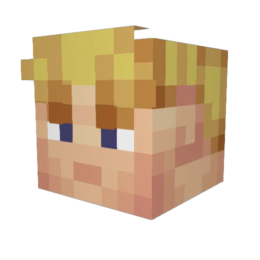 LandseR1488 Minecraft avatar head, 3D render