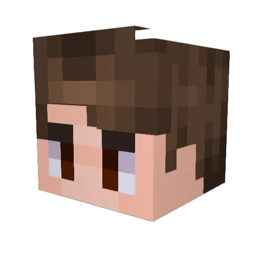 Landshark923 Minecraft avatar head, 3D render