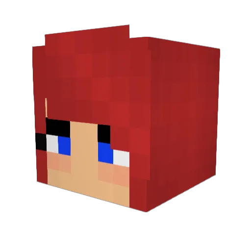 Landt3 Minecraft avatar head, 3D render