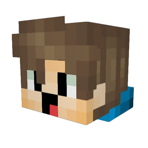 Landu64 Minecraft avatar head, 3D render