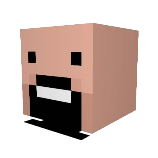 LandwardCube782 Minecraft avatar head, 3D render