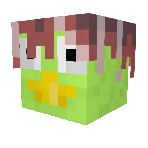 Landwii_212 Minecraft avatar head, 3D render