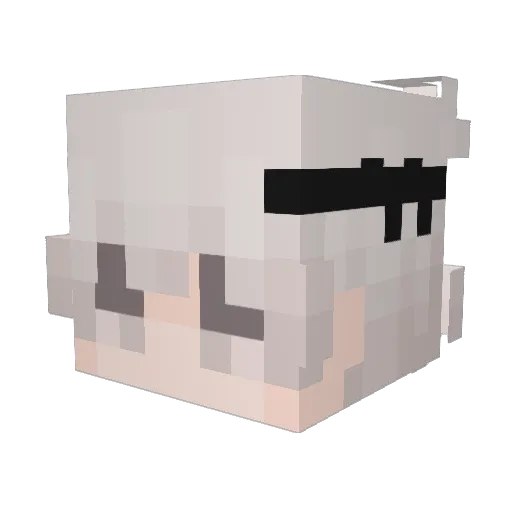 LaneDunn Minecraft avatar head, 3D render