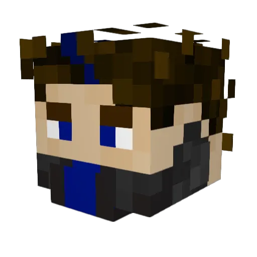 LaneLD Minecraft avatar head, 3D render