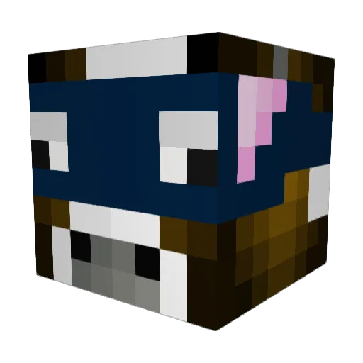 LaneM2007 Minecraft avatar head, 3D render