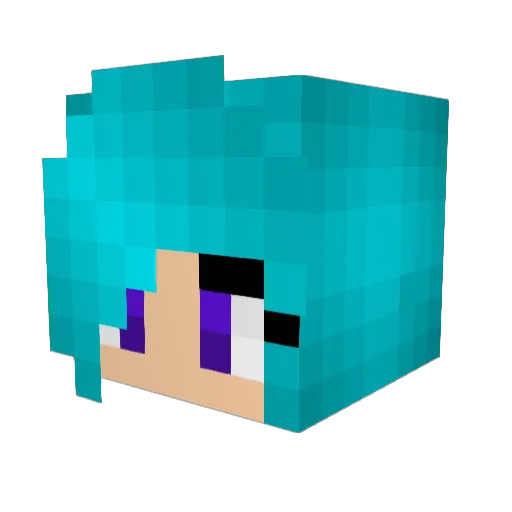 Lanepup Minecraft avatar head, 3D render