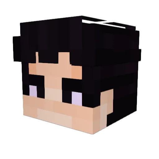 Lanes55 Minecraft avatar head, 3D render