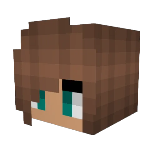 LaneyBug14 Minecraft avatar head, 3D render