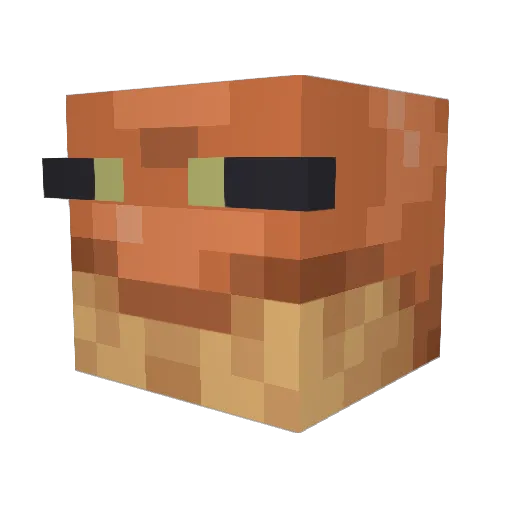 Langayss Minecraft avatar head, 3D render