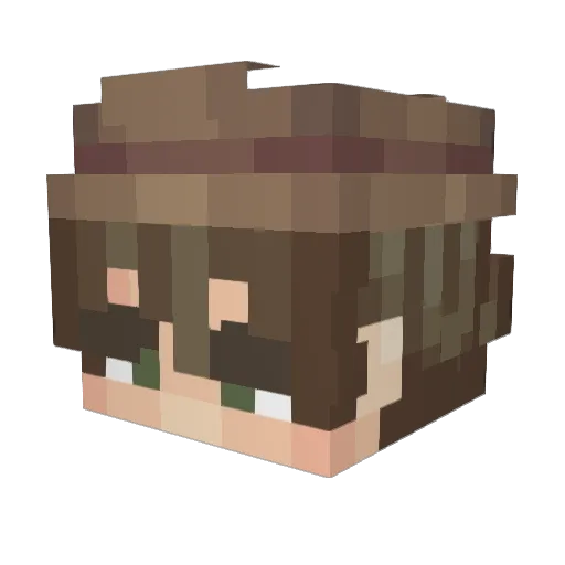 LangerBro Minecraft avatar head, 3D render