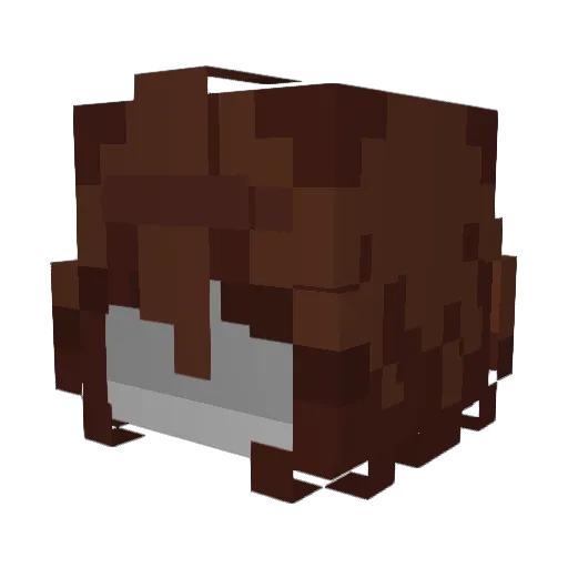 Langlock509 Minecraft avatar head, 3D render
