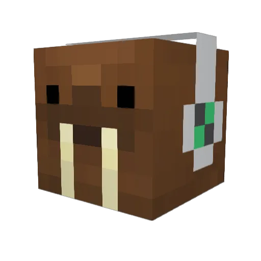 Lango_Osten Minecraft avatar head, 3D render