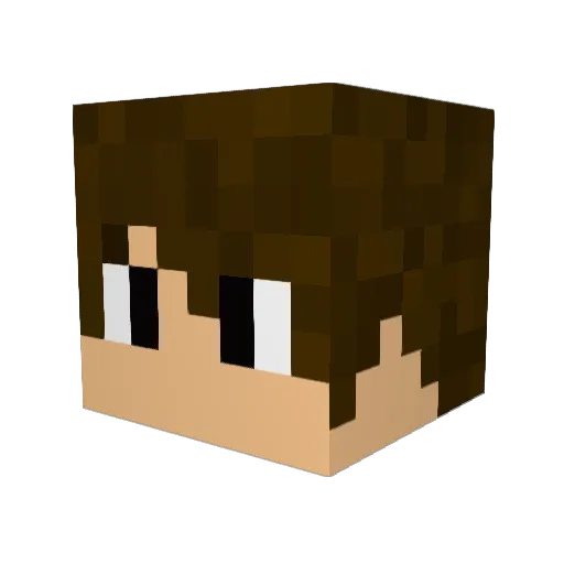 Langston1209 Minecraft avatar head, 3D render