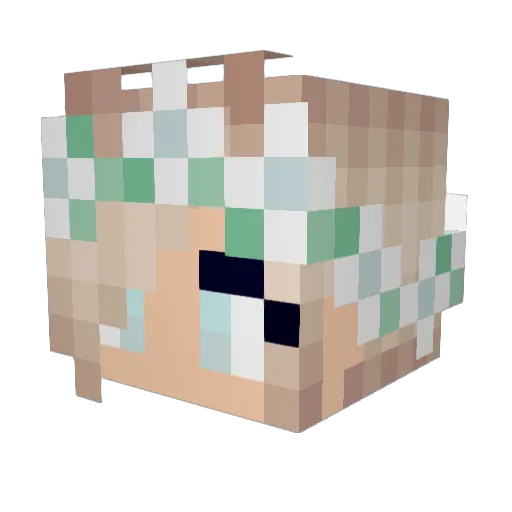 Lani16 Minecraft avatar head, 3D render