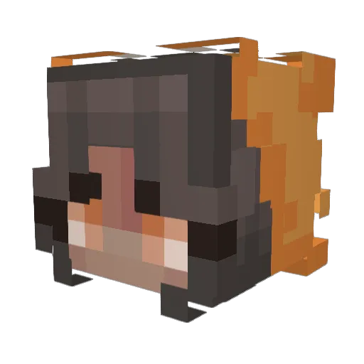 LaniBrasi Minecraft avatar head, 3D render