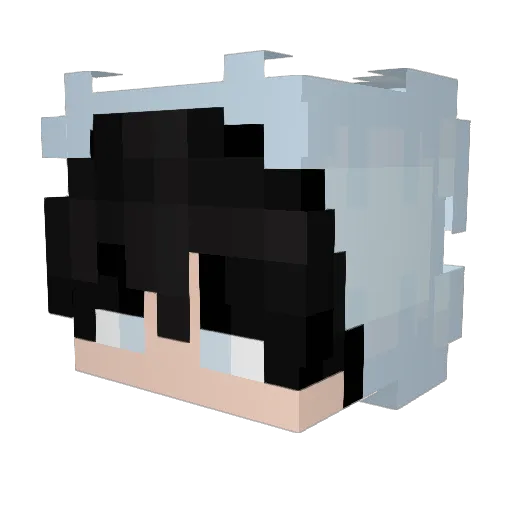 LaniNinja Minecraft avatar head, 3D render