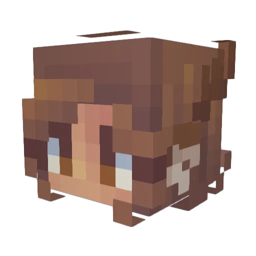 Lani_9797 Minecraft avatar head, 3D render