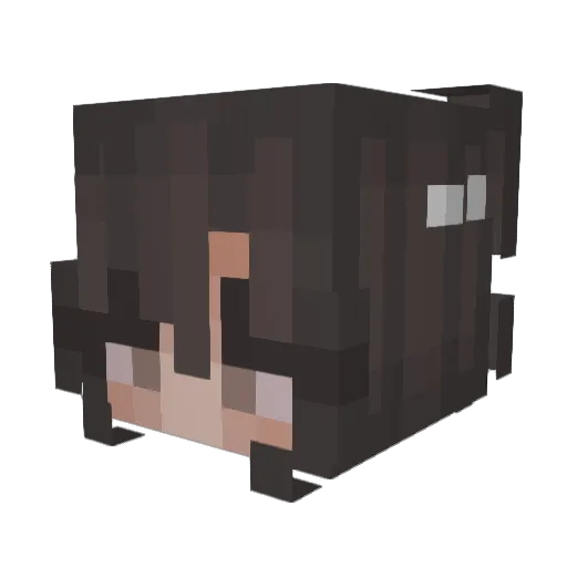 Lani_Tanii Minecraft avatar head, 3D render
