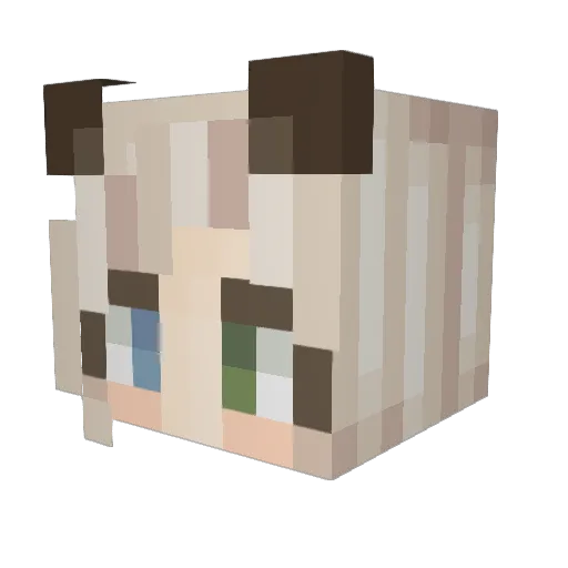 Lanialai Minecraft avatar head, 3D render