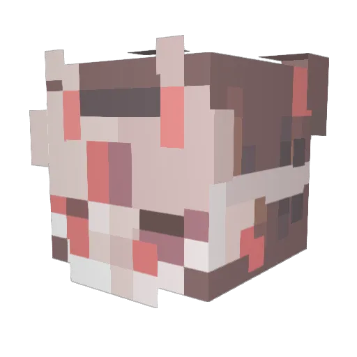 Laniii__ Minecraft avatar head, 3D render
