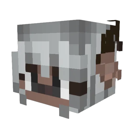 Lanikor Minecraft avatar head, 3D render