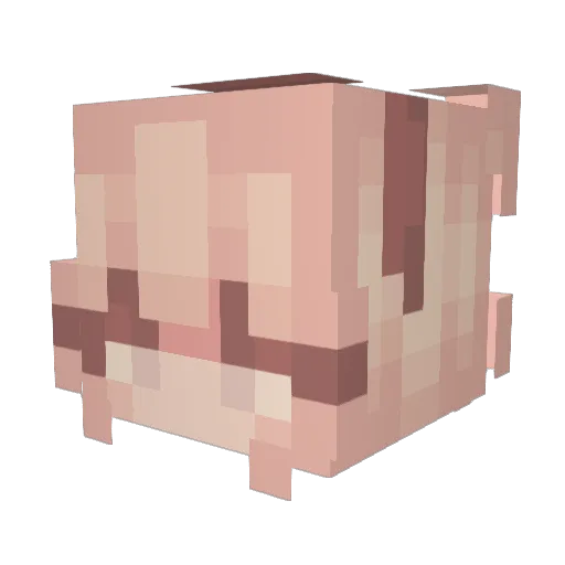 Laniku Minecraft avatar head, 3D render