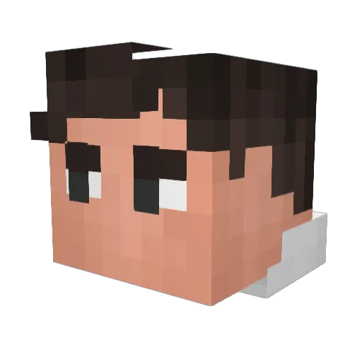 Lankey_Bo1 Minecraft avatar head, 3D render