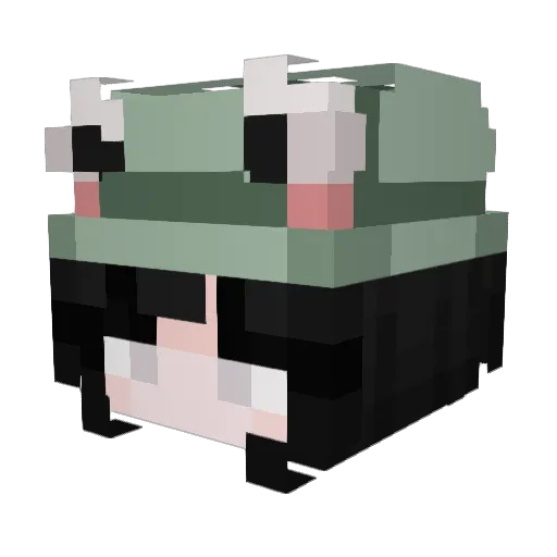 Lankii Minecraft avatar head, 3D render