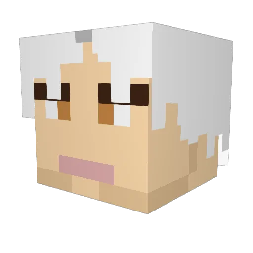 Lankomir Minecraft avatar head, 3D render