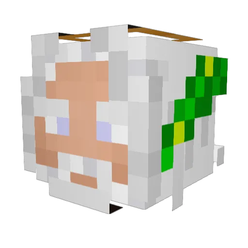 LankyBoiY Minecraft avatar head, 3D render