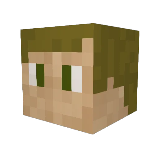 Lanky_Wonder Minecraft avatar head, 3D render