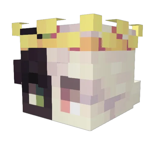 Lankysugar6675 Minecraft avatar head, 3D render