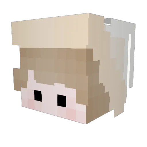 Lanl_24 Minecraft avatar head, 3D render