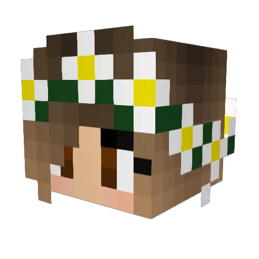 Lanmai56 Minecraft avatar head, 3D render