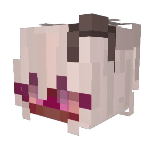 LannaBacon Minecraft avatar head, 3D render
