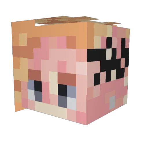 Lannery Minecraft avatar head, 3D render