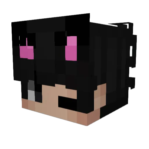 Lannn___ Minecraft avatar head, 3D render